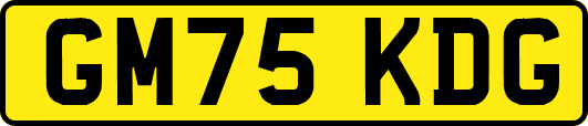 GM75KDG