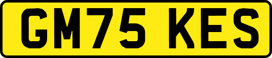 GM75KES