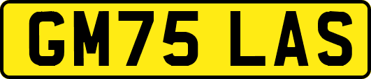 GM75LAS