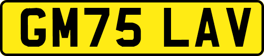 GM75LAV