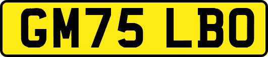 GM75LBO