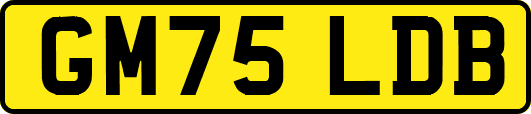 GM75LDB