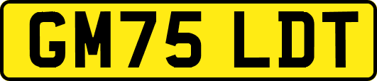 GM75LDT