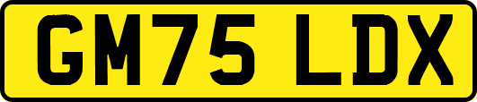 GM75LDX