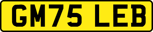 GM75LEB