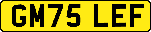 GM75LEF