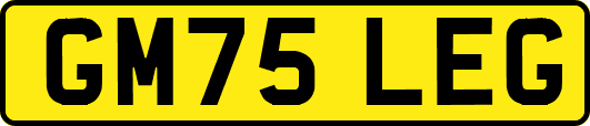 GM75LEG
