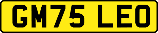 GM75LEO