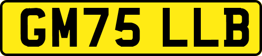 GM75LLB