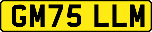 GM75LLM