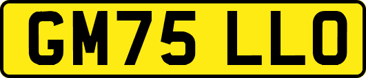 GM75LLO