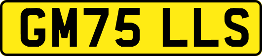GM75LLS