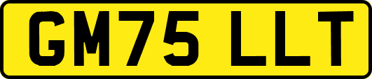 GM75LLT