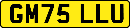 GM75LLU