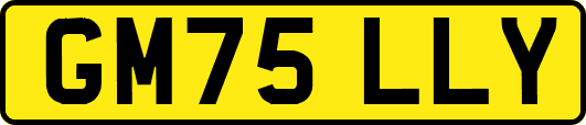GM75LLY