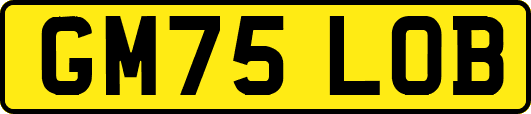 GM75LOB