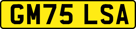GM75LSA