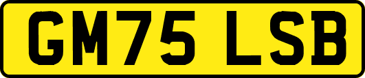 GM75LSB