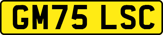 GM75LSC