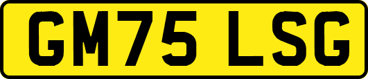 GM75LSG