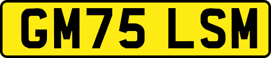 GM75LSM