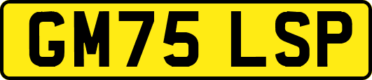 GM75LSP