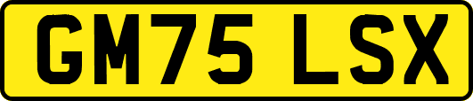 GM75LSX