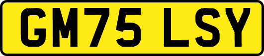 GM75LSY