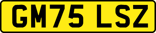 GM75LSZ