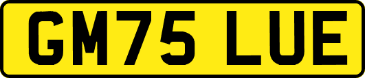 GM75LUE