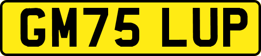 GM75LUP