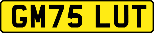 GM75LUT