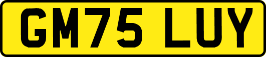 GM75LUY