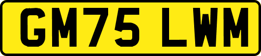 GM75LWM
