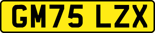 GM75LZX