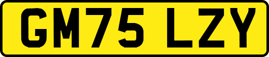 GM75LZY