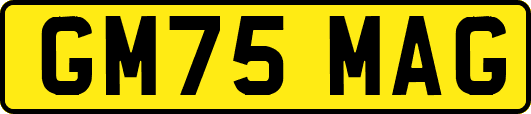 GM75MAG