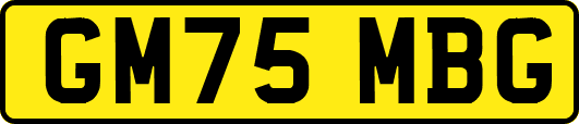 GM75MBG