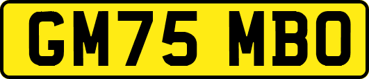 GM75MBO