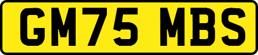 GM75MBS