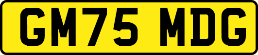 GM75MDG