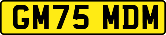 GM75MDM