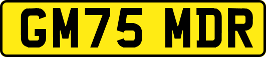 GM75MDR