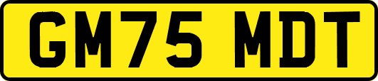 GM75MDT