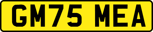 GM75MEA
