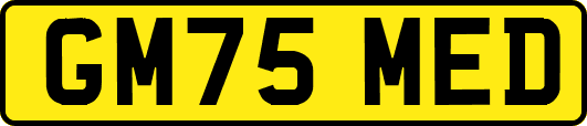 GM75MED