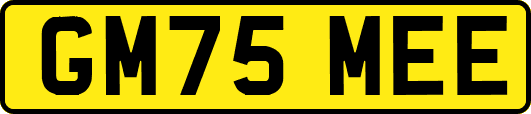 GM75MEE