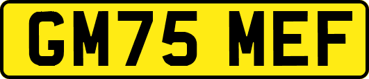 GM75MEF