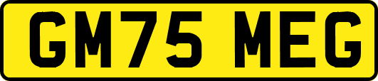 GM75MEG