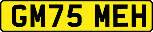 GM75MEH